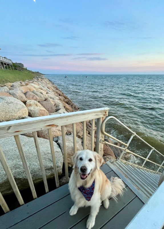 Personal photograph 20